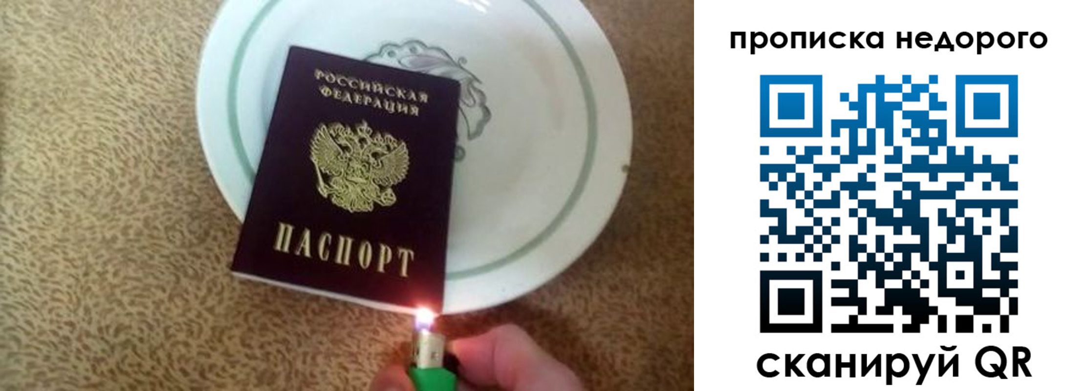 прописка 2025 в Новомосковске